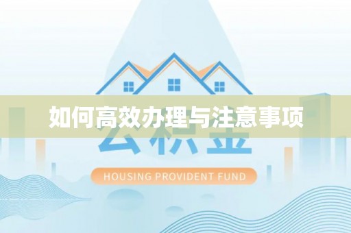曾都如何高效办理与注意事项