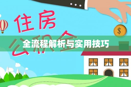 曾都全流程解析与实用技巧