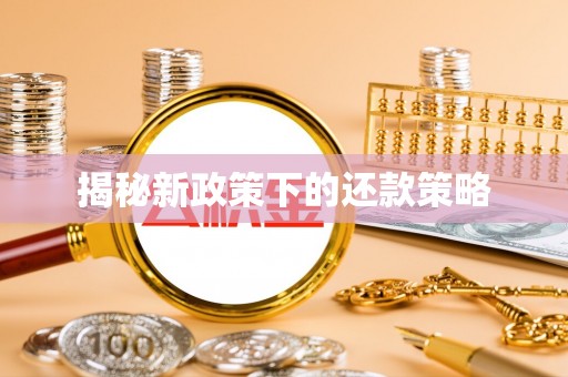 曾都揭秘新政策下的还款策略