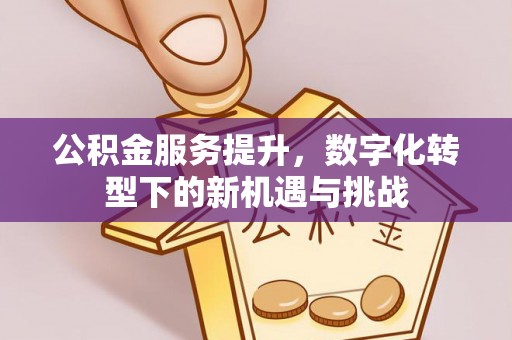 曾都公积金服务提升，数字化转型下的新机遇与挑战