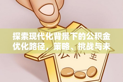 曾都探索现代化背景下的公积金优化路径，策略、挑战与未来展望