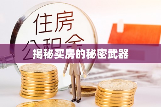曾都揭秘买房的秘密武器