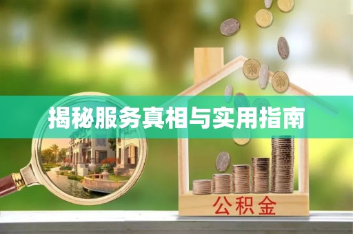 曾都揭秘服务真相与实用指南