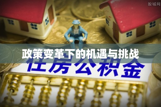曾都政策变革下的机遇与挑战