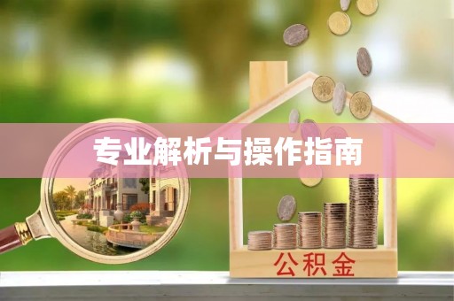 曾都专业解析与操作指南