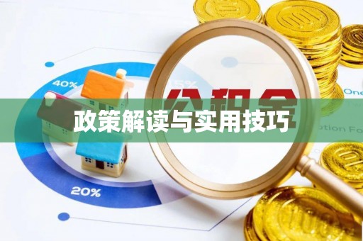 曾都政策解读与实用技巧