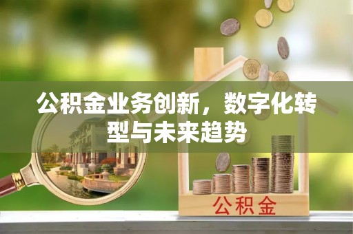 曾都公积金业务创新，数字化转型与未来趋势