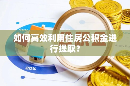 曾都如何高效利用住房公积金进行提取？