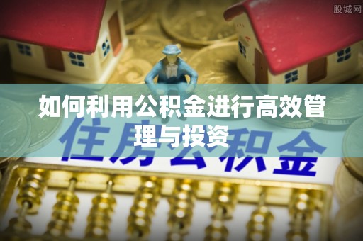曾都如何利用公积金进行高效管理与投资