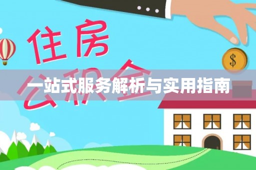 曾都一站式服务解析与实用指南