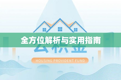 曾都全方位解析与实用指南