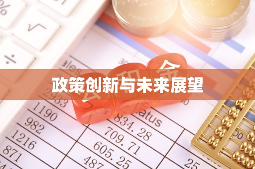 曾都政策创新与未来展望