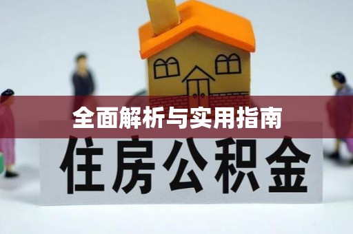 曾都全面解析与实用指南