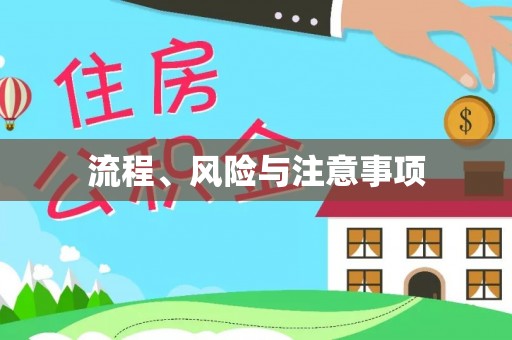 曾都流程、风险与注意事项