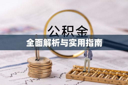 曾都全面解析与实用指南