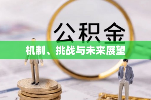 曾都机制、挑战与未来展望